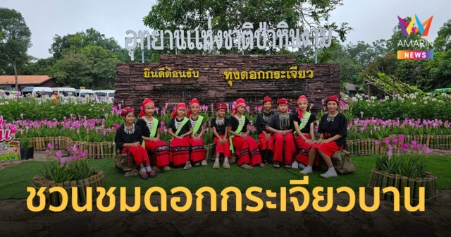 สัมผัสมหัศจรรย์ธรรมชาติดอกกระเจียวบานท่ามกลางขุนเขาและสายหมอก หนึ่งเดียวที่ชัยภูมิ