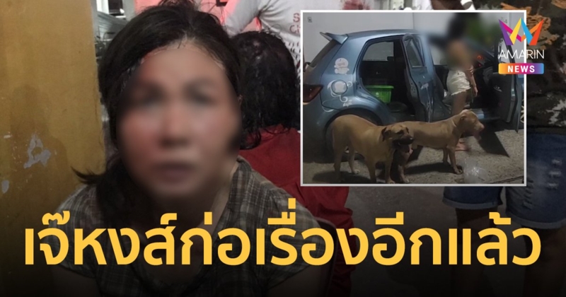 ชาวบ้านผวา! “เจ๊หงส์ พิตบูล” ในตำนานกลับมาอีกแล้ว รอบนี้ใช้รูปปั้นปูนทุบหัวแม่เจ็บหนัก