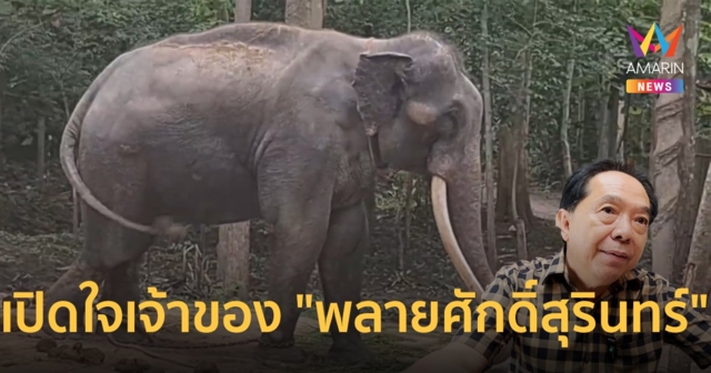เปิดใจเจ้าของ "พลายศักดิ์สุรินทร์" พาช้างกลับบ้านเกิด