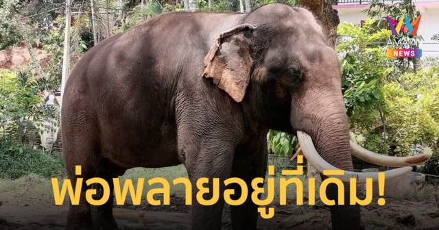 พลายประตูผา อยู่ที่เดิม ถูกใช้ข้ออ้าง 