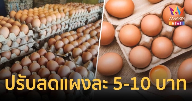 ข่าวดี!ไข่ไก่ปรับราคาลดลงแผงละ 5-10 บาทหลังหมดกินเจ-โรงเรียนปิดเทอม