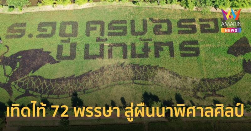 "กรมการข้าว" เทิดไท้ 72 พรรษา สู่ผืนนาพิศาลศิลป์