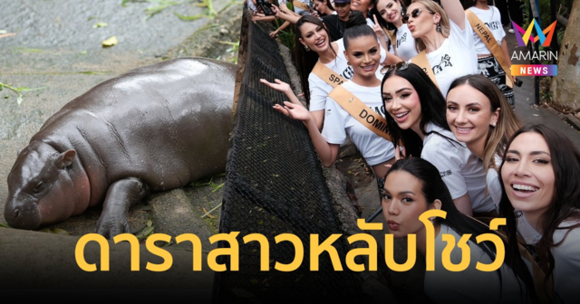 ฮอตมาก! 