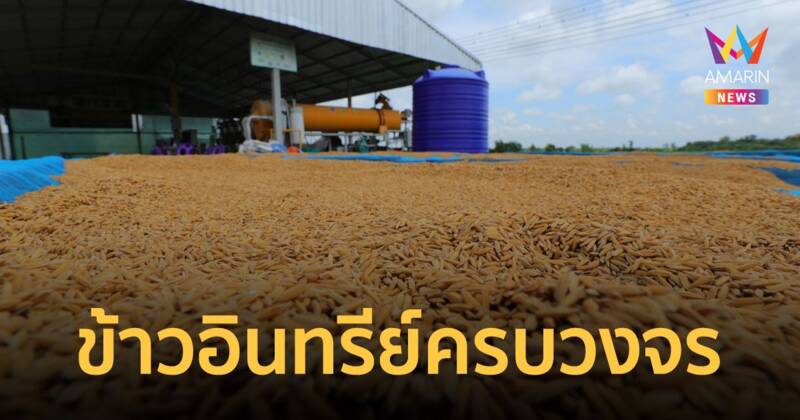 การผลิตข้าวอินทรีย์แบบครบวงจรสู่ความสำเร็จของกลุ่มข้าวชุมชนบ้านมะยาง