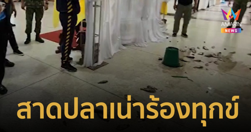 หนุ่มใหญ่หัวร้อน! หิ้วปลาเน่า 2 ถัง สาดร้องทุกข์หน้าศูนย์ดำรงธรรม