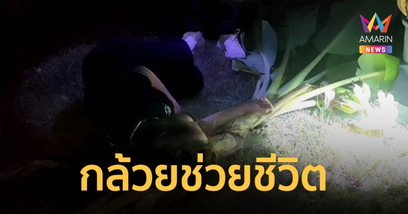 ต้นกล้วยช่วยชีวิต สาวพะเยาดิ่งชั้น 3 เคราะห์ดี ต้นกล้วยรับร่าง รอดตายหวุดหวิด