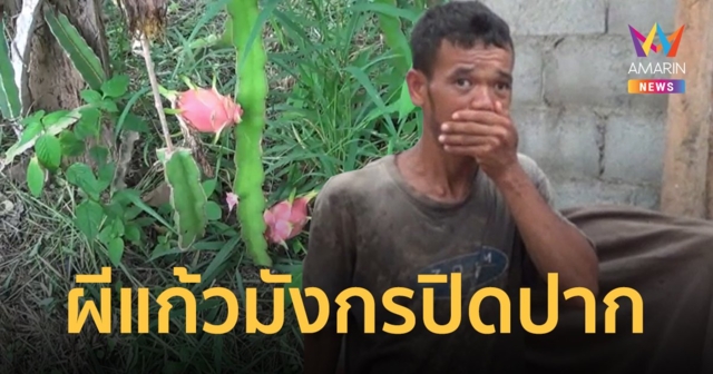 ผีต้นแก้วมังกรบังตา ปิดปากไม่ให้พูด ญาติตามหาทั้งวันทั้งคืน เห็นทุกคนแต่ออกมาไม่ได้