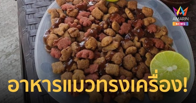 พ่อพาเพื่อนมากินเบียร์ที่บ้าน ทำลูกช็อกเพราะกับแกล้มที่เอาไปกินไม่ใช่อาหารคน!