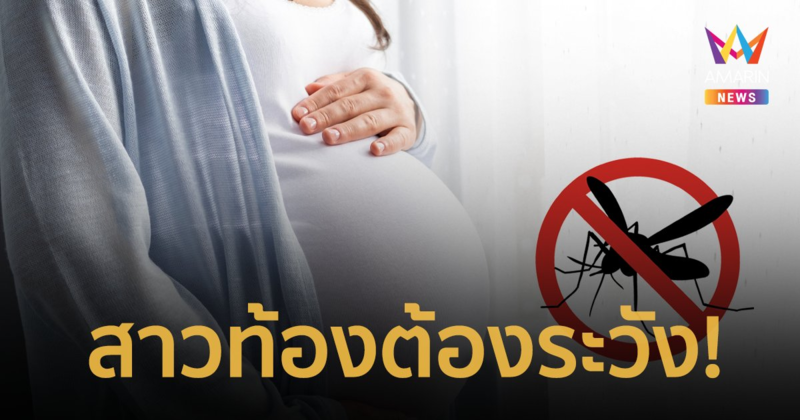 สาวท้องต้องระวัง ป้องกันอย่าให้ยุงกัด ไวรัสในยุงอาจส่งผลให้เด็กพิการ