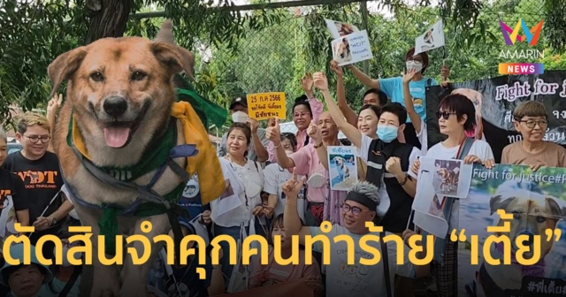 ศาลพิพากษาจำคุก 6 เดือน ไม่รอลงอาญา คนร้ายทารุณกรรมสุนัข 