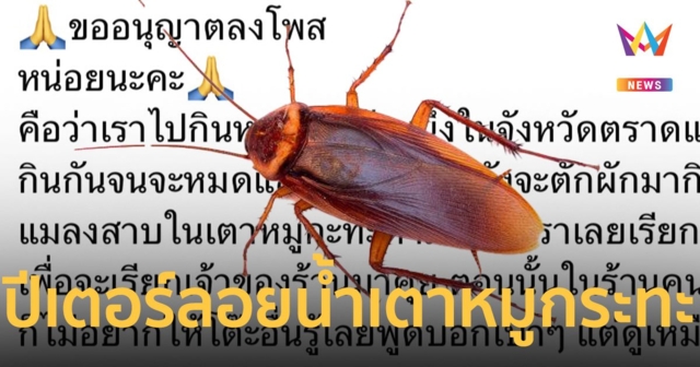 “แมลงสาบ” โปรตีนมีปีกลอยในเตาหมูกระทะ ร้านลดให้ 55 บาท