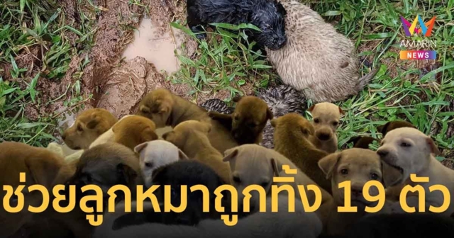 ครูสาวใจงาม ช่วยชีวิตลูกสุนัข 19 ตัว จากร่องน้ำ พลังโซเชียลแห่ชื่นชม จนมีคนรับเลี้ยงครบทุกตัว