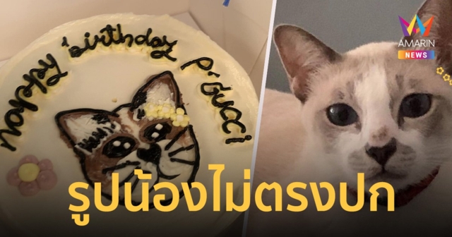 ทาสแมวโวย รูปหน้า เค้กไม่ตรงปก แถมรสชาติไม่อร่อย