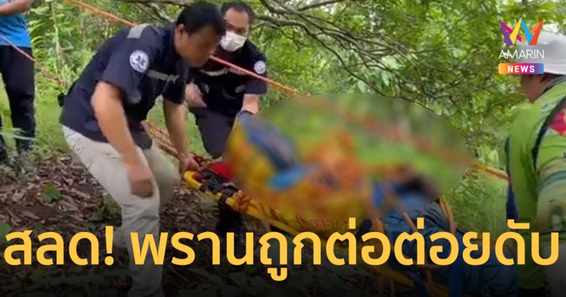 สลด! พรานหนุ่มถูก ต่อต่อยดับในป่าบนเขา ห้อยโตงเตงกับต้นไม้