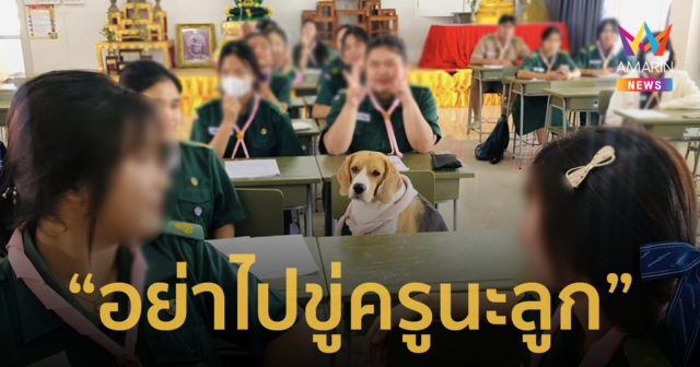 จะเอาแบบนี้ใช่ไหม! น้องหมาเห่าช่างซ่อมบ้านไม่หยุด เลยต้องจับมาเรียนหนังสือ