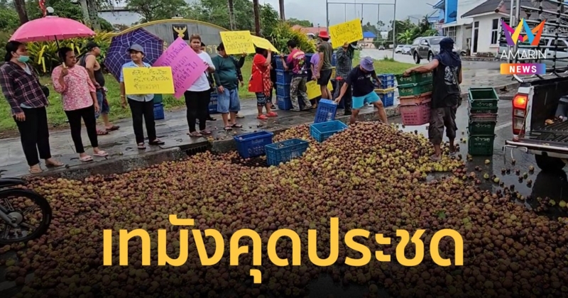 ชาวสวนเมืองคอนสุดทน ถูกทุบราคาอย่างหนัก ขนมังคุดนับพันกิโล เททิ้งหน้าอำเภอ