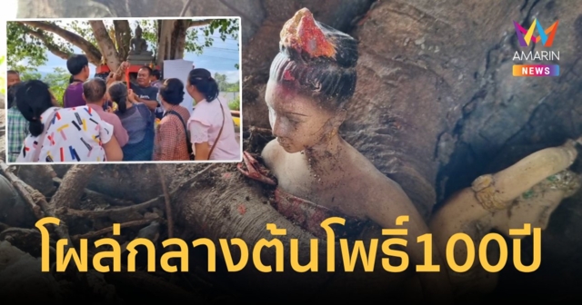 แห่ขอเลขรูปปั้นหญิงสาวโผล่กลางต้นโพธิ์อายุ 100 ปี