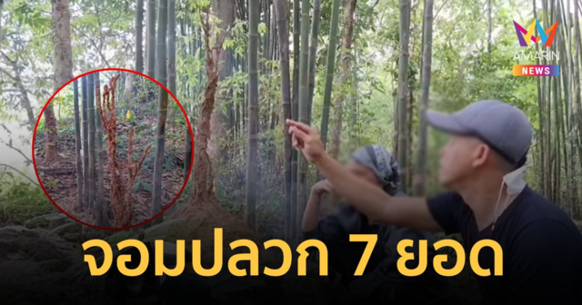 ส่องเลขเด็ด 1/9/66 จอมปลวกสร้างรังคล้ายเจดีย์ 7 ยอด