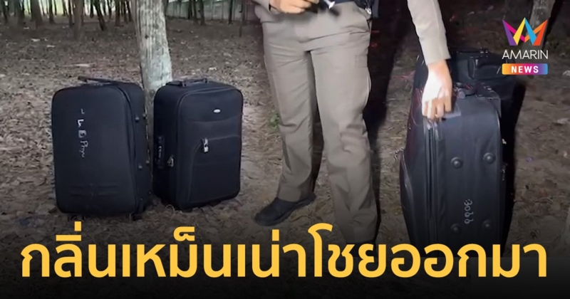 ระทึก! พบกระเป๋าเดินทางปริศนา 2 ใบ ในป่ายาง กลิ่นเหม็นเน่าโชยแรง ตร.รุดตรวจสอบ จบหักมุม