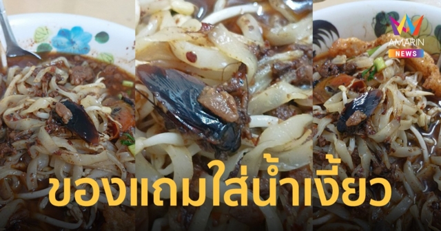 อาหารครบ มีแถมให้ด้วย เค็มกรุบกรอบ อย่าตำหนิร้าน