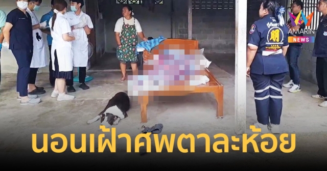 เจ้าตูบกตัญญู นอนเฝ้า เจ้าของ หลังนอนเสียชีวิตคาเตียงนอน
