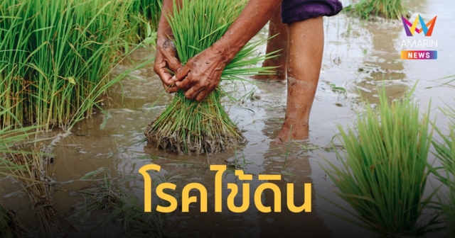 รู้จัก โรคไข้ดิน ติดเชื้อแบคทีเรียที่อยู่ในดินและน้ำ ระบาดหนักช่วงฤดูฝน