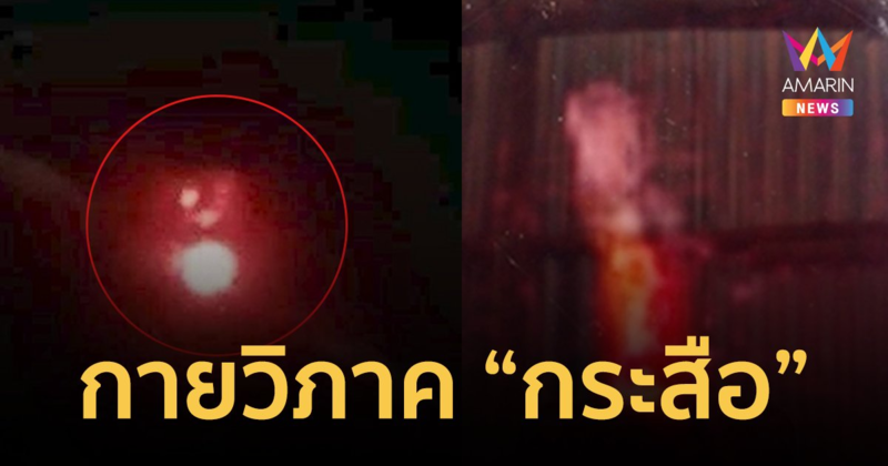 วิเคราะห์กายวิภาค "กระสือ" ตามหลักวิทยาศาสตร์ ใช้ชีวิตได้จริงหรือไม่?