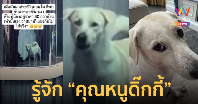 เปิดประวัติ "ดิ๊กกี้" จากหมาจรกำพร้า สู่ชีวิตลูกคุณหนู อยู่คอนโด 30 ล้าน