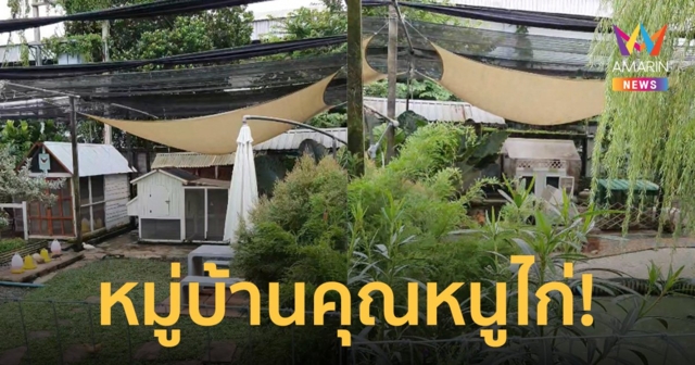 วาสนา! ช่างแอบถ่ายเล้าไก่สุดหรู ชาวเน็ตแซวอย่างกับพฤติกรรมเลียนแบบเกม