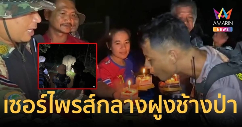 เซอร์ไพรส์เป่าเค้กวันเกิดท่ามกลางฝูงช้างป่า