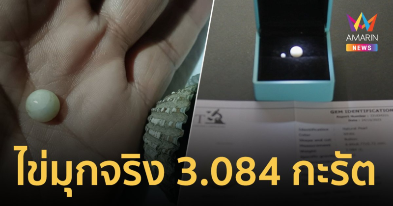 ยืนยัน! ไข่มุกจริงจากธรรมชาติ 3.084 กะรัต หลังหนุ่มใหญ่พบเจอในหอยแครง