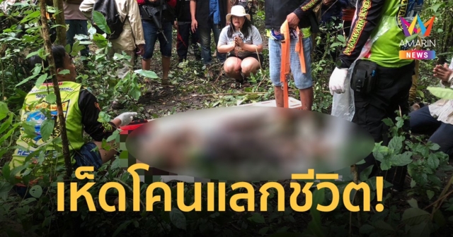 เห็ดโคนแลกด้วยชีวิต! หนุ่มใหญ่เสี่ยงตาย เจอโขลงช้างป่าเหยียบดับอนาถ