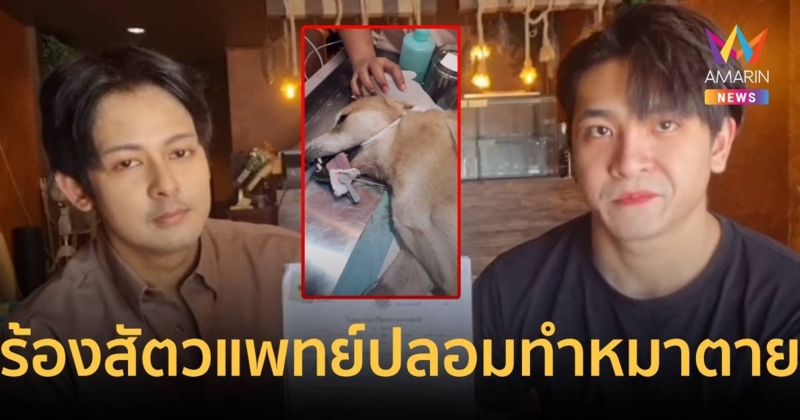 ร้องสื่อ คลินิคทำสุนัขตาย พบเป็นสัตวแพทย์ปลอม