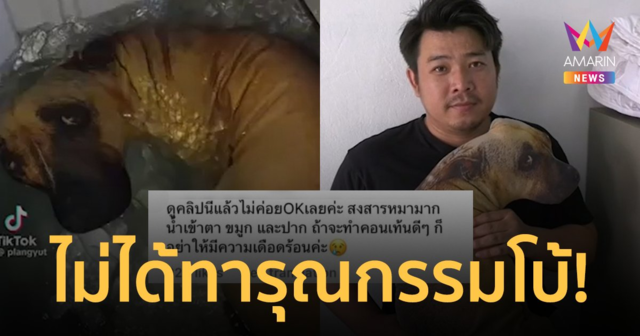 สงสารโบ้! หนุ่มแจงเหตุจับหมาใส่เครื่องซักผ้า ที่แท้แค่ตุ๊กตาหมาหงอย
