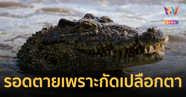 หวิดโดนกิน! หนุ่มโดนจระเข้ขย้ำลากลงน้ำ รอดตายมาได้เพราะกัดเปลือกตา “ไอ้เข้”