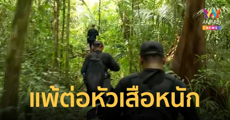 แพ้ต่อหัวเสือหนัก ความดันต่ำ-หลอดลมตีบ กระตุ้นยา 3 เข็มยังไม่ดีขึ้น