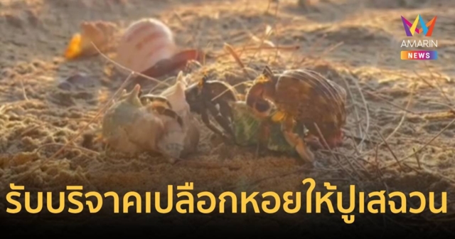 รับบริจาคเปลือกหอยให้ปูเสฉวน – พบวาฬโอมูระ ที่เกาะลันตา