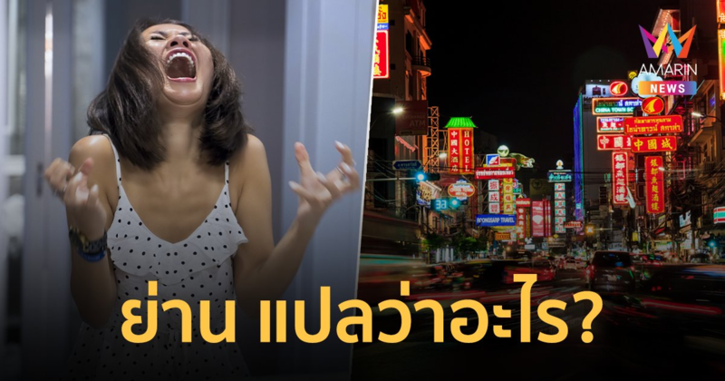 ย่าน แปลว่าอะไร เปิดความหมายทั้งภาษาไทยและภาษาอีสาน