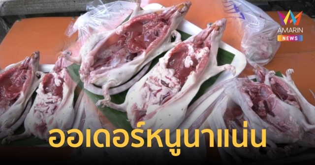 ออเดอร์แน่น ฟาร์มเลี้ยงหนูนาเตรียมออเดอร์หนูแช่แข็ง รับเทศกาลปีใหม่
