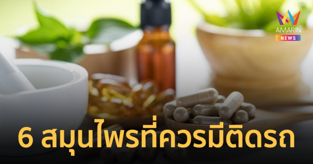 แนะ 6 สมุนไพรที่ควรมีติดรถช่วงเดินทาง แก้อาการเจ็บป่วยเบื้องต้น