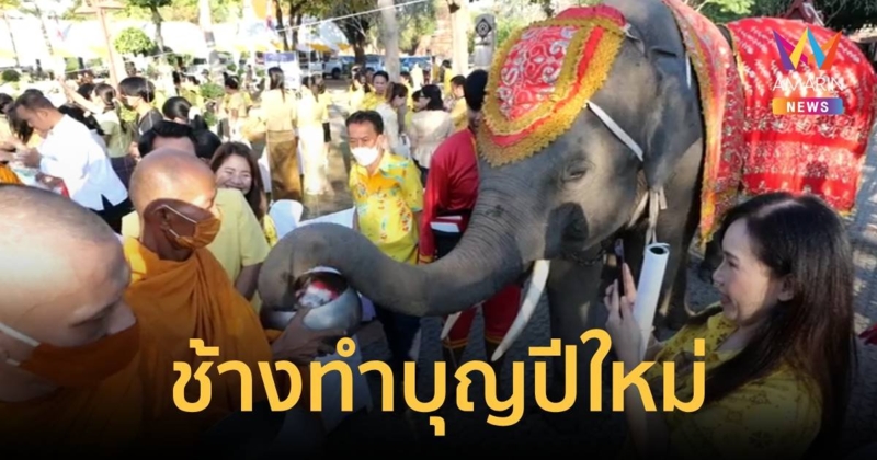 ช้างอยุธยา ร่วมตักบาตรกับผู้ว่าและประชาชนในวันขึ้นปีใหม่