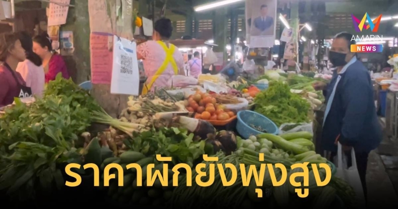 ราคาผักยังพุ่งสูง โดยเฉพาะคะน้า ราคาเกือบทะลุ 100 บาท/กก.