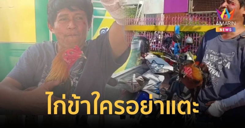 ไก่ข้าใครอย่าแตะ ยอมเจ็บแทนไก่