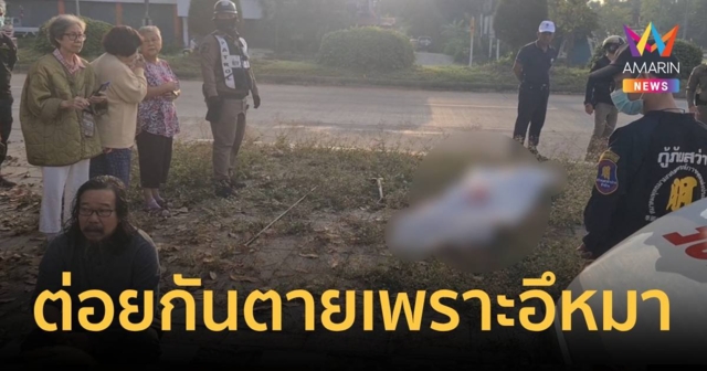ชกกันตายเพราะเรื่องหมาอึหน้าบ้าน!