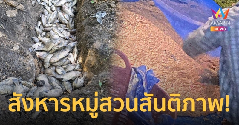 ให้ภาพเล่าเรื่อง! ลอยกระทงขนมปัง จากอาหารปลาสู่ยาพิษ สังหารหมู่เกือบทั้งสระ