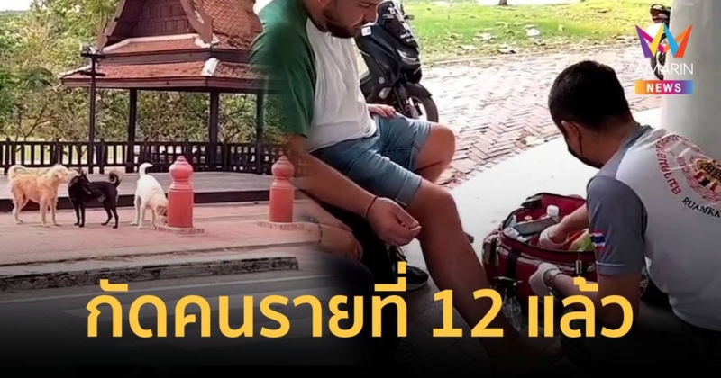 หมากัดนักท่องเที่ยวต่างชาติรายที่ 12 ในโบราณสถานที่อยุธยา