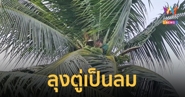 ชาวบ้านระทึก! 