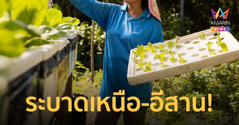 นายหน้าเถื่อนระบาด ชวนทำงานต่างประเทศ หลอกโอนเงินดำเนินการหลักแสน
