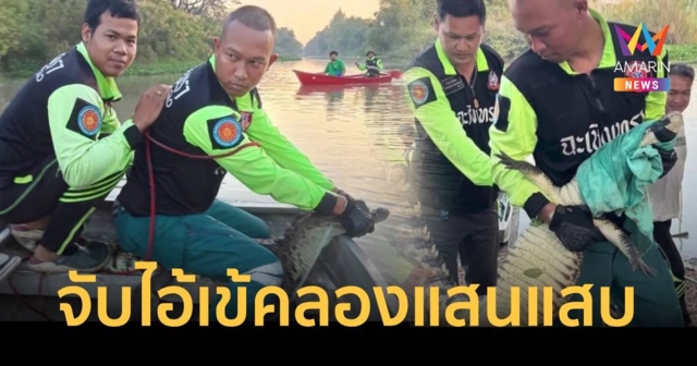 จับได้แล้วไอ้เข้คลองแสนแสบ ชาวบ้านโล่งใจผวามาหลายวัน