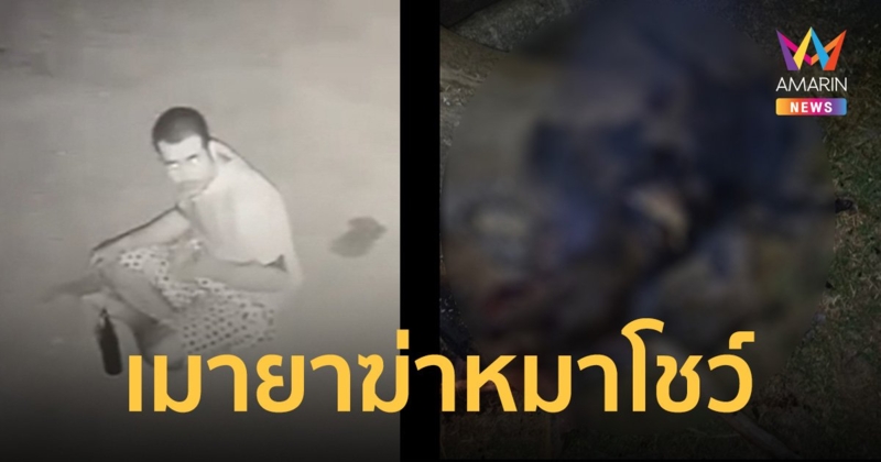 หนุ่มศรีสะเกษ เมายา หลอนบังคับขอเงินยายวัย 88 ไม่ได้ ฆ่าหมาเผาโชว์